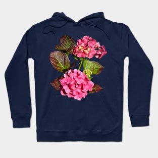 Pink Hydrangea With Leaves Hoodie